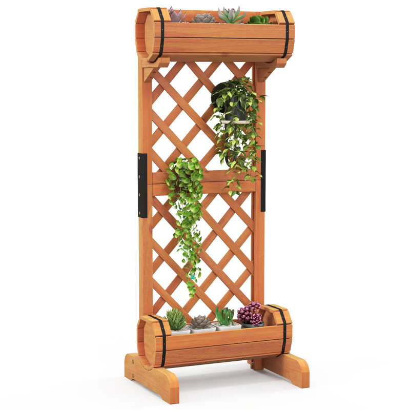 Pacchiana Vertical Garden with Trellis