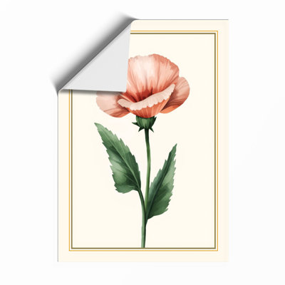 Pink Carnation Study Botanical - Print