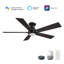 Ventilateur de plafond intelligent de 48 pouces avec télécommande Ascender, ensemble d'éclairage inclus, fonctionne avec l'assistant Google, Amazon Alexa et les raccourcis Siri.-2070113939-2070113949