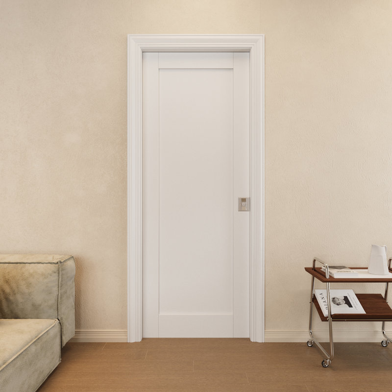 Porte coulissante intérieure avec porte coulissante et porte coulissante, Blanc / argenté, 24 po x 80 po