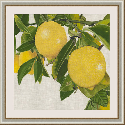 " Bright Citrus IV "