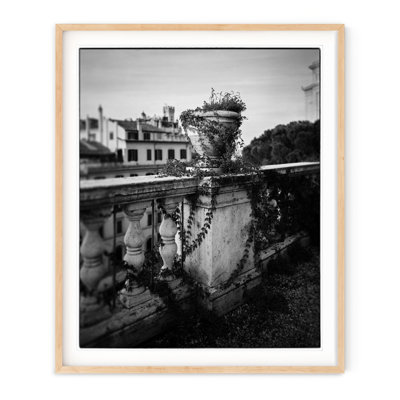 Lierre italien - photographie avec cadre photo