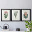 Protea N13 - Ensemble de 3 impressions encadrées-2127202173-2127202178