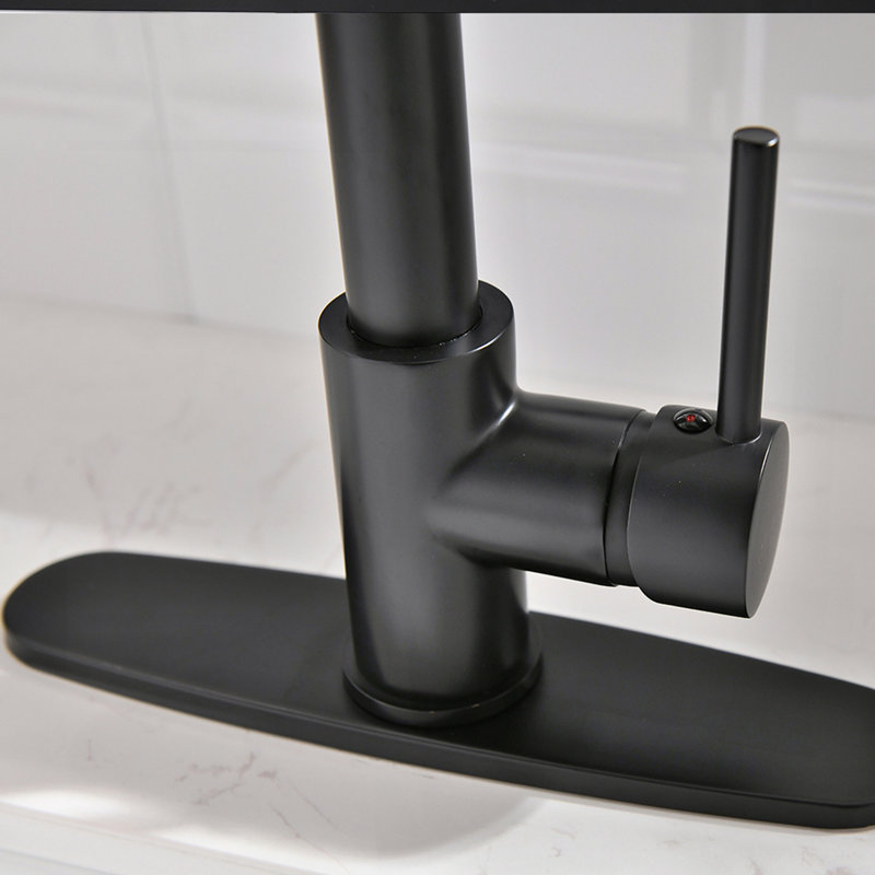 Robinet de cuisine de purificateur d'eau potable avec support de séchage pour vaisselle, robinet d'évier de cuisine rétractable (noir mat)