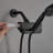 Rain Handheld Shower Head 2.0 GPM GPM with Water Filtration-93219931