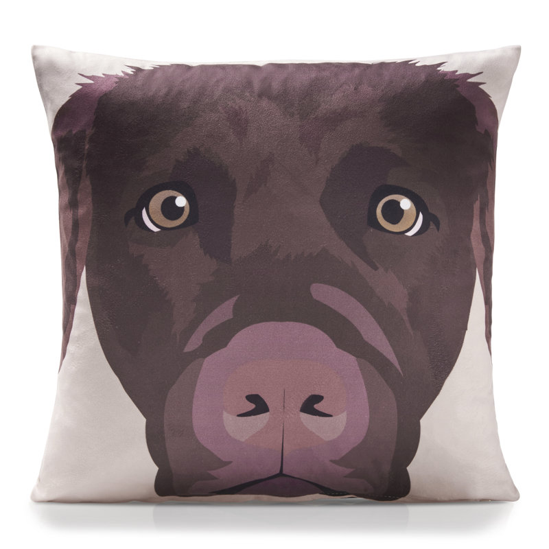 Ditoro Animal Print Multicoloured Square Cushion