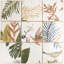 Angela Harris Dunmore Sonata Decor 8X8 Polished Ceramic Wall Tile