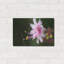 «Beautiful Flora» par Gordon Semmens-1049243982