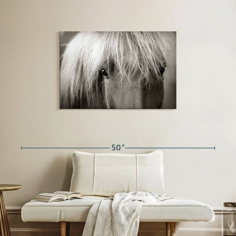 Brampt Icelandic Horse Up Close, 24" H x 36" W