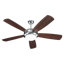 Ceiling Fans with Lights