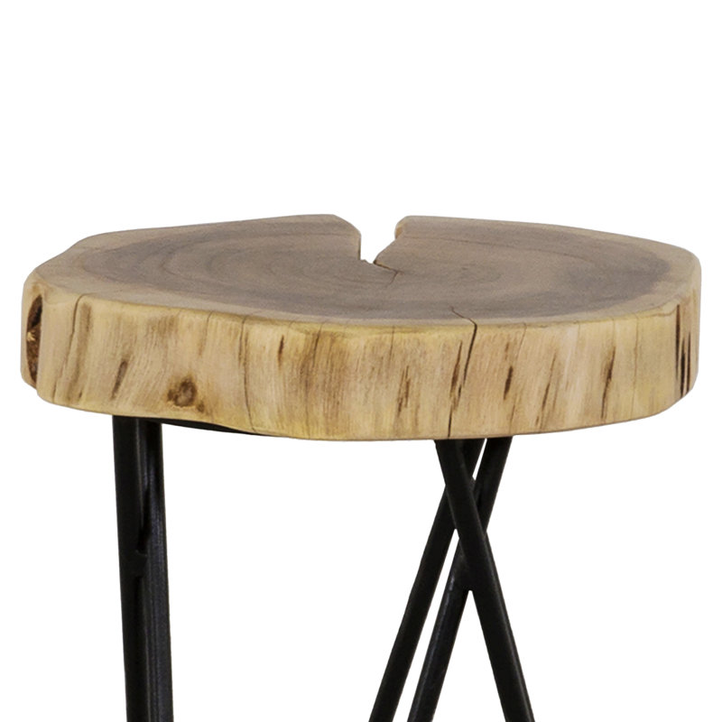 Ameyia 12 in. Round Wood and Metal End Table