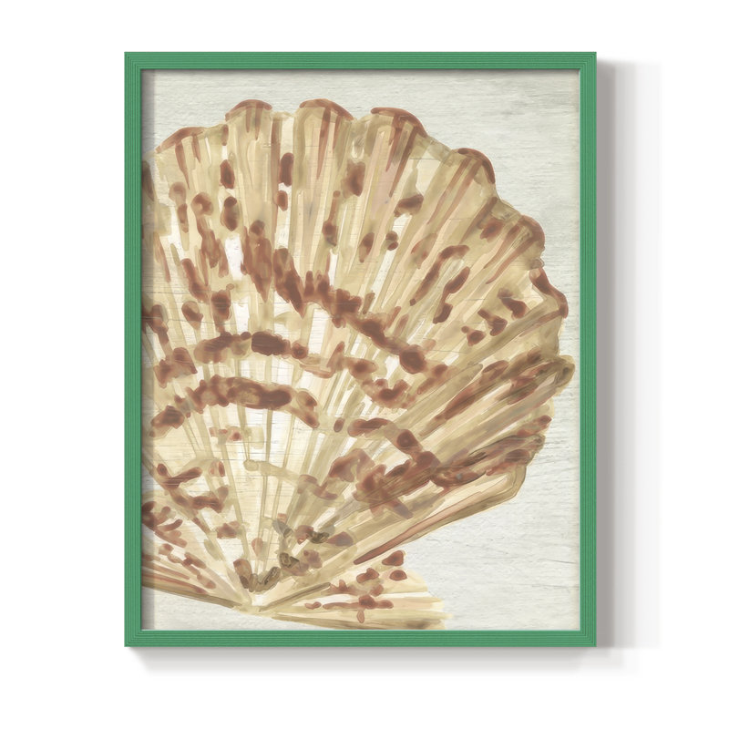 Vintage Shell Vignette III Framed Print - Solid Wood, 15" H x 12" W, Green