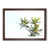Walnut Framed selected