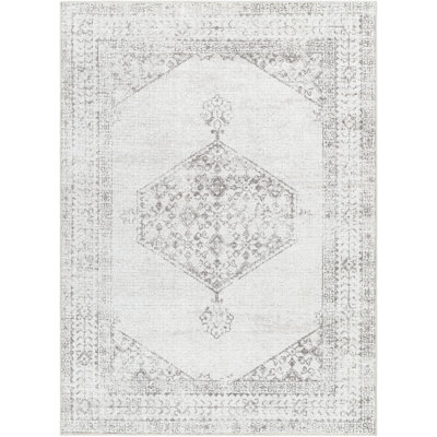 Our PNW Home x Livabliss Vintage Traditional Oriental Boho Tan Cream Area Rug