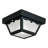 2 - Light 10.5" Flush Mount-7225115