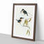 Sacred Halcyon Kingfishers by Elizabeth Gould - Picture Frame Painting Print-55613401-55613402