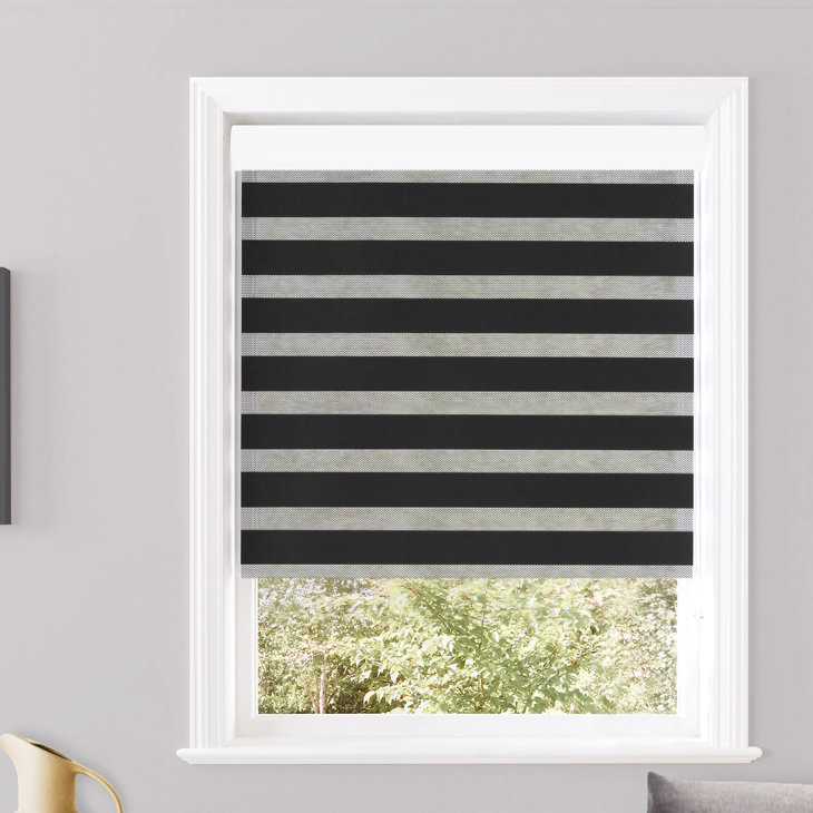 Store à enroulement semi-transparent Robbe, l 48 po x L 84 po, Noir