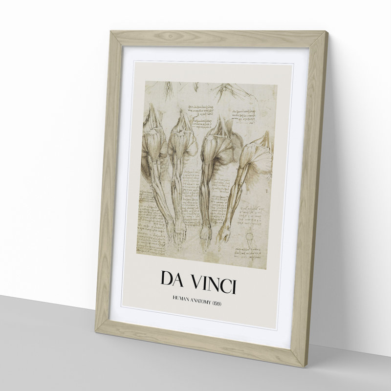 Human Anatomy Vol.8 by Leonardo Da Vinci - Picture Frame Drawing, 48cm H x 36cm W x 2cm D, Oak Framed