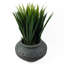 Cachepot