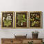 " Chestnut On Suede " 3 - Pieces Painting Print-1731682017-1731682022