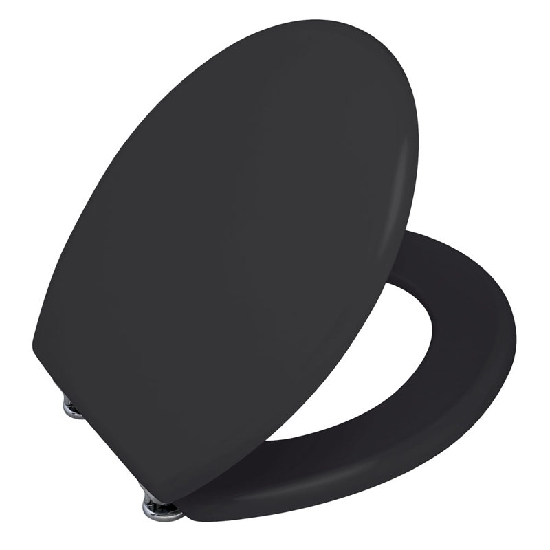 Postfield Toilet Seat, Matt Black