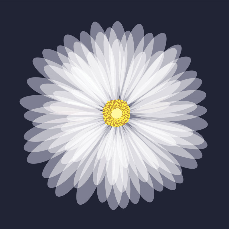 Daisy Flower by StockHype - Wrapped Canvas Print, 51cm H x 51cm W