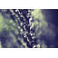 «Droplets», reproduction sur toile tendue-667334348