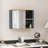 Maurene Wall Bathroom Cabinet