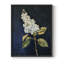 Série FLORAL CLXIV - reproduction encadrée de qualité supérieure - prête à être accrochée - aucun clou requis-1818666556-1818666555