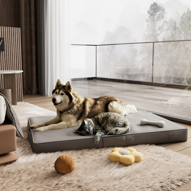 Efua Orthopedic Leather Pet Bed, Large (43.5" W x 31" D x 4" H), Gray