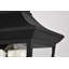Tête de lanterne câblée à 1 lumière H 13,94 po noir mat