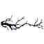 Coat Rack