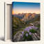 Fleurs de montagne, art mural sur toile, ensemble de 1-808268615