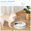 Automatic Feeder