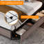 Cicley Storage Bed-251223312