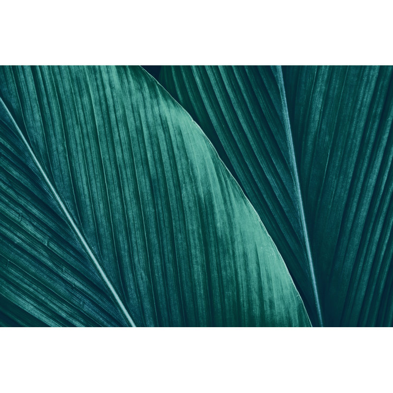 Tropical Leaf by Pernsanitfoto - Wrapped Canvas Print, 30cm H x 46cm W