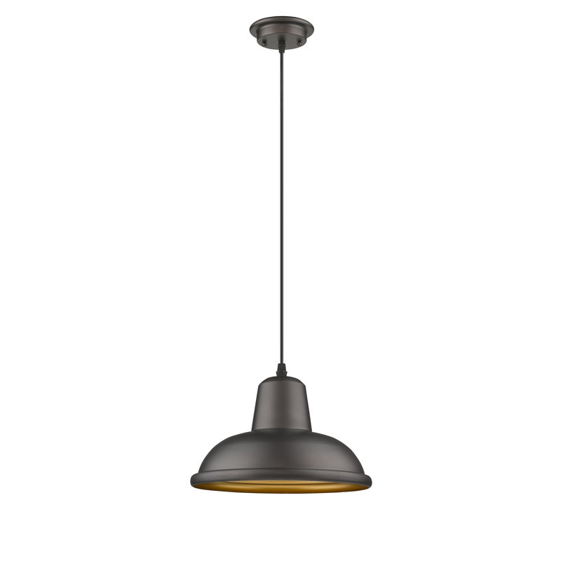 Luminaire suspendu en forme de dôme à 1 lumière Holbeach