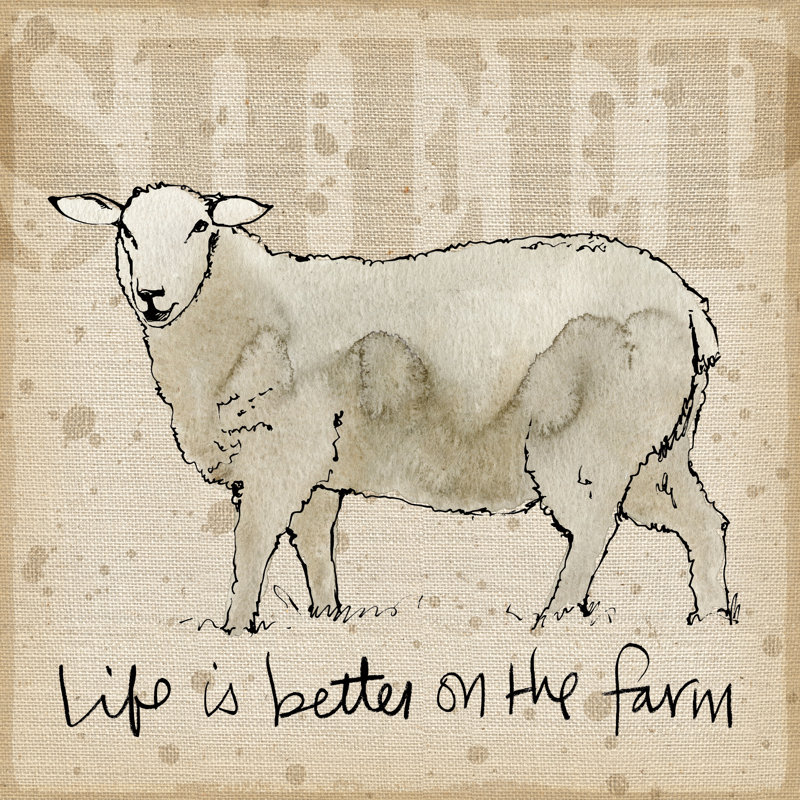 Farm Life IV by Anne Tavoletti - Wrapped Canvas Print, 91cm H x 91cm W x 3.8cm D