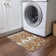 Alleson Indoor Rug