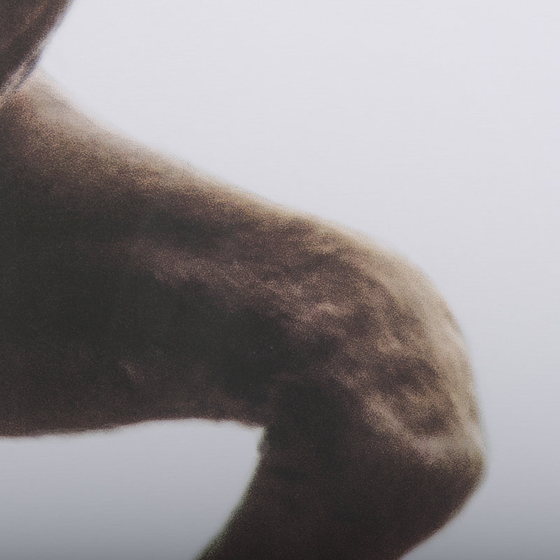 Équine audacieuse - «Run a Hand», reproduction d'art texturée encadrée mat sous verre