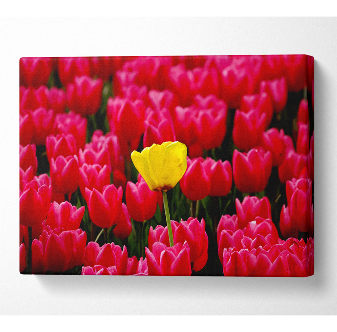 Tulpen Strenth - Wrapped Canvas Kunstdrucke