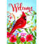 Fleurs de cardinal de bienvenue-1353190584-1353190587-1362536797