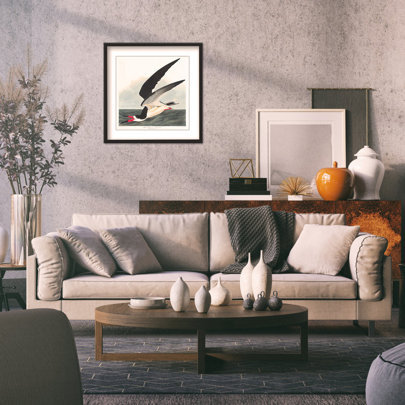 Coastal Retreat Black Skimmer From Birds Of America (1827), 24" H x 24" W
