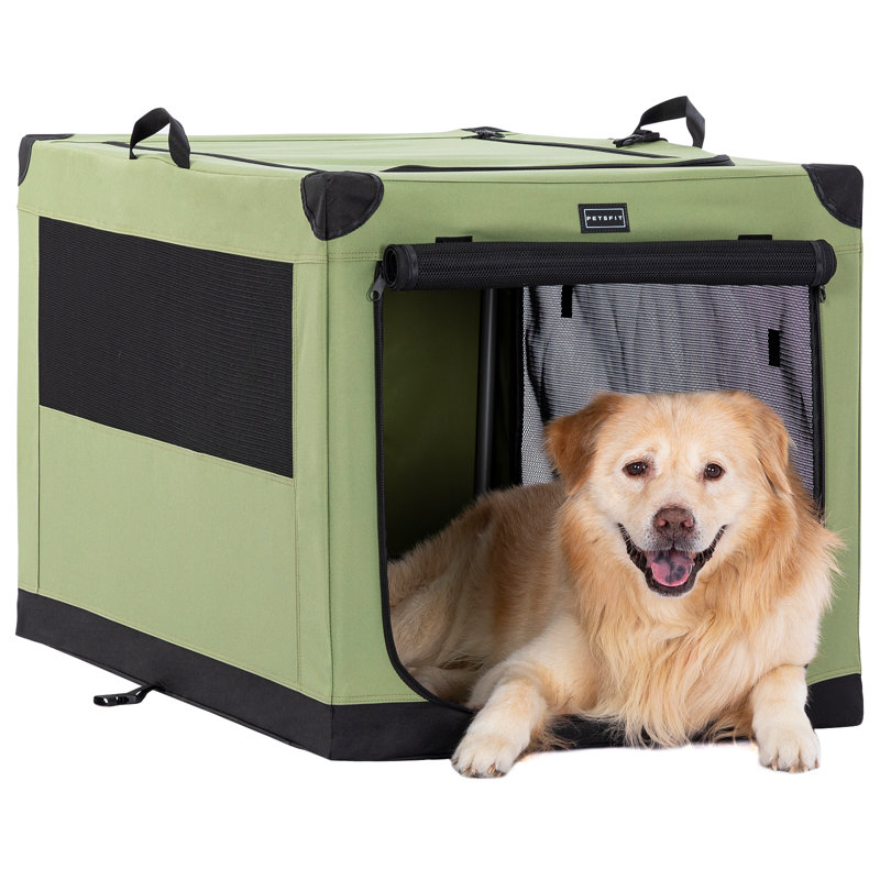 Dasinger Collapsible Soft-Sided Crate with 3 Doors, Large (23" H x 36" W x 24" D), Green