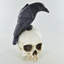 Ernesto Birds Figurines & Sculptures