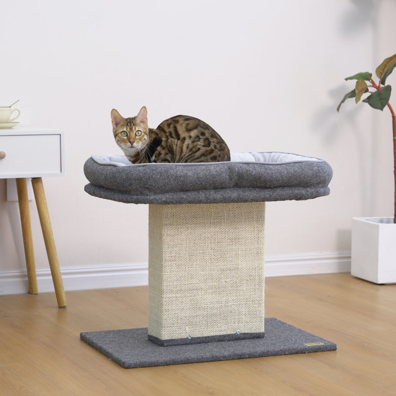 Catry 2-in-1 Mellow Cat Perch with Large Soft Bed and Sisal Scratching Post, Minimalist Design, Grey