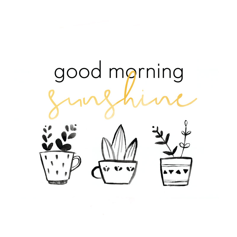 Morning Sunshine - Wrapped Canvas Print, 30cm H x 30cm W x 3.8cm D