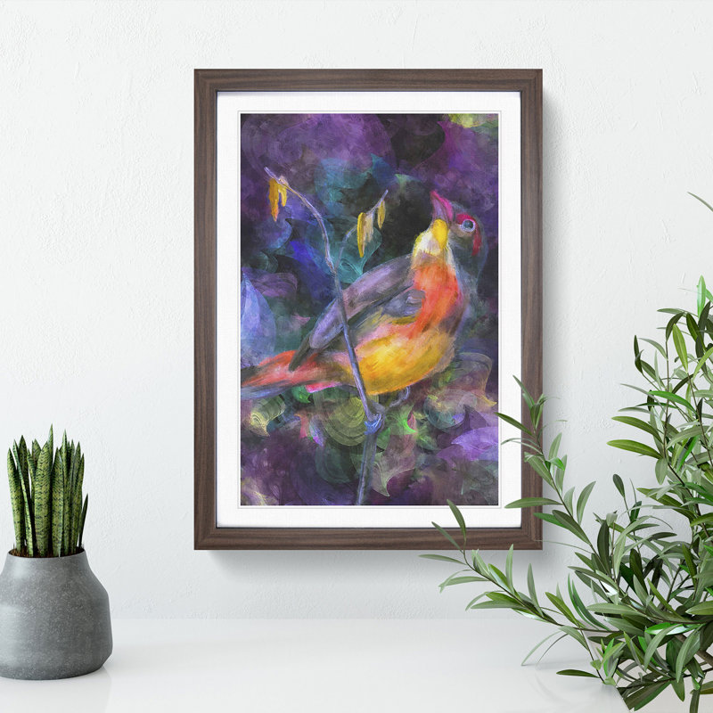 Colourful Bird - Picture Frame Graphic Art, 36cm H x 27cm W x 2cm D, Walnut Framed