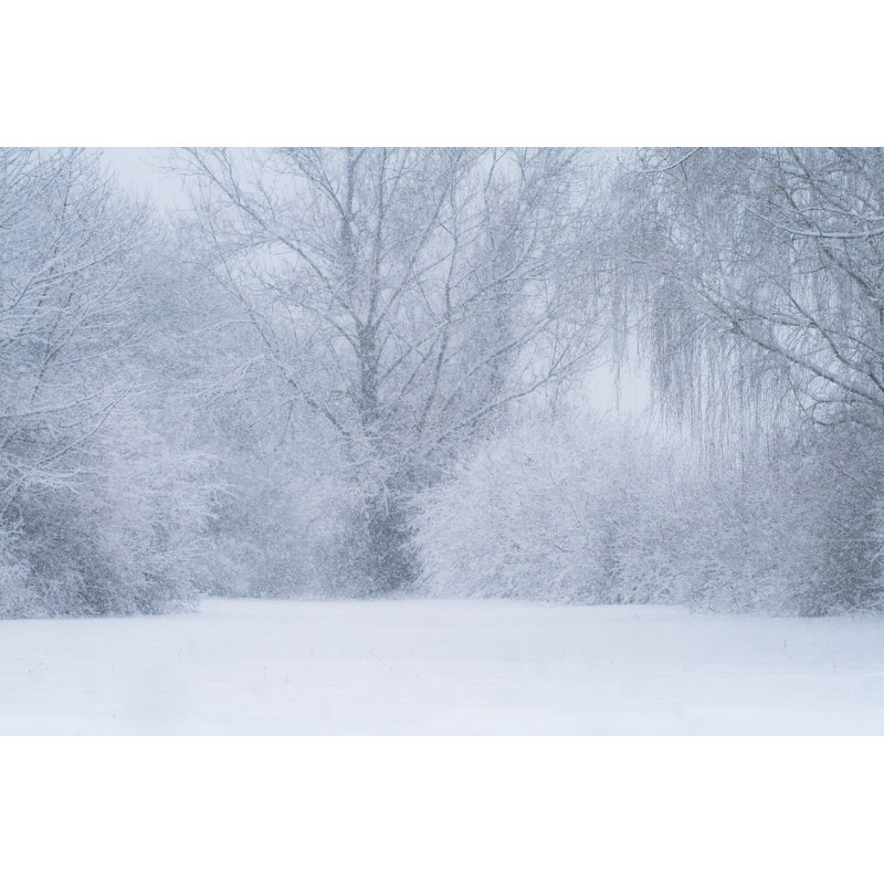 Paysage enneigé - Photographie sur toile tendue, H 8 po x l 12 po