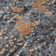 Zenith Wool Abstract Area Rug